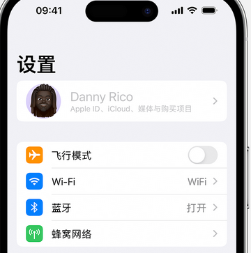 荥阳appleID维修服务iPhone设置中Apple ID显示为灰色无法使用 