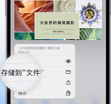 荥阳apple维修中心分享iPhone文件应用中存储和找到下载文件