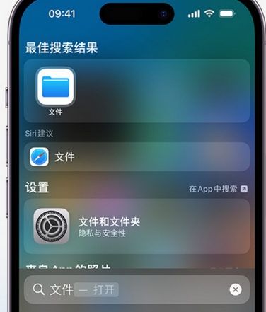 荥阳apple维修中心分享iPhone文件应用中存储和找到下载文件 