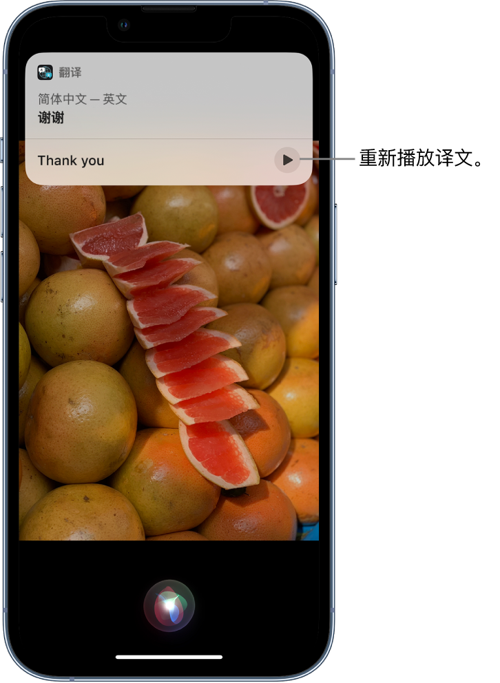 荥阳苹果14维修分享 iPhone 14 机型中使用 Siri：了解 Siri 能帮你做什么 