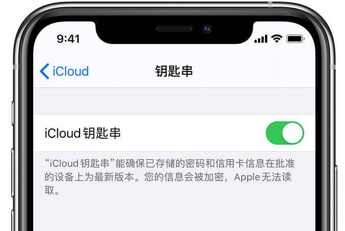 荥阳苹果手机维修分享在 iPhone 上开启 iCloud 钥匙串之后会储存哪些信息 