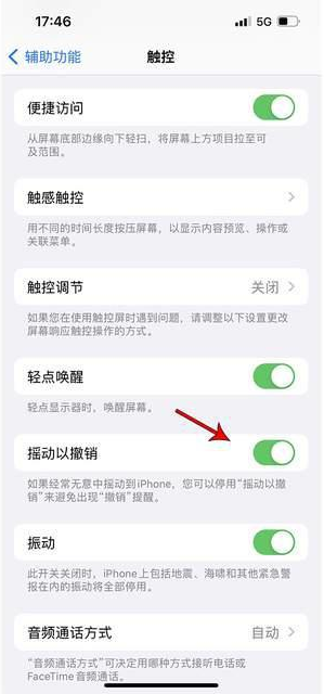 荥阳苹果手机维修分享iPhone手机如何设置摇一摇删除文字 